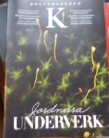 Kulturv&auml;rden nr 3 2024