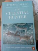 The celestial hunter