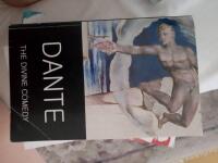The divine comedy