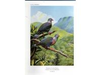 Birds of of the Atlantic Islands. Vol. 2: A History of the Birds of Madeira, the Desertas, and the Porto Santo Islands