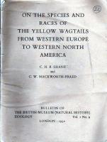 On the species and races of the yellow wagtails from western Europe to western North America