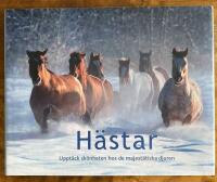 H&auml;star : uppt&auml;ck sk&ouml;nheten hos de majest&auml;tiska djuren