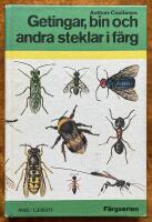 Getingar, bin och andra steklar i f&auml;rg