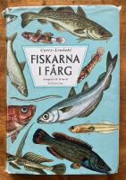 Fiskar i f&auml;rg 