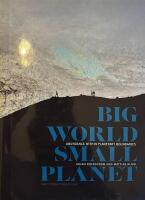 Big world, small planet : abundance within planetary boundaries