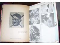 Hitlerrikets storhet och fall