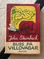 Buss p&aring; villov&auml;gar