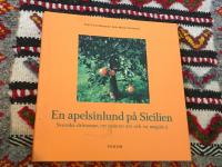 En apelsinlund p&aring; Sicilien