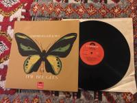 Rare, precious and beautiful