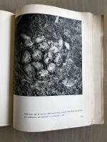 SAREK F&auml;rder och iakttagelser i fj&auml;llen mellan Lule&auml;lvarna