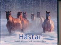 H&auml;star : uppt&auml;ck sk&ouml;nheten hos de majest&auml;tiska djuren