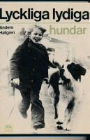 Lyckliga lydiga hundar