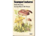 Svampar i naturen