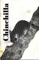 Chinchilla