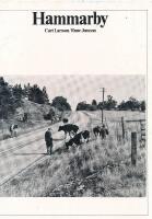 Hammarby