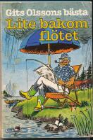 Lite bakom fl&ouml;tet