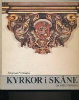 Kyrkor i Sk&aring;ne : en kulturhistoria