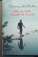 N&auml;r allting faller p&aring; plats : en bok om att finna mening
