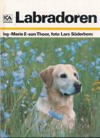 Labradoren