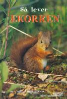 S&aring; lever ekorren