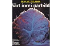 V&aring;rt inre i n&auml;rbild