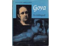 Goya En bildbiografi