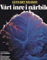 V&aring;rt inre i n&auml;rbild