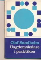 Ungdomsledare i praktiken