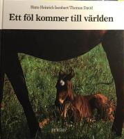 Ett f&ouml;l kommer till v&auml;rlden