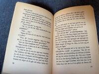 Teskedsgumman i sagoskogen