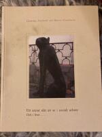 Ett annat s&auml;tt att se i socialt arbete och i livet-