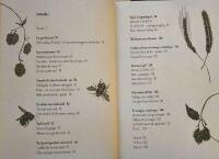 Den nya &ouml;lkulturen