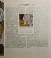 Druvan bakom vinet : Din guide till v&auml;rldens druvsorter och de viner de frambringar