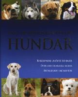 Allt du beh&ouml;ver veta om hundar