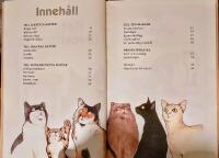 Kattens favoritprylar