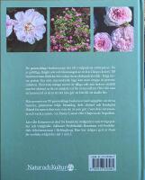 Gammaldags buskrosor