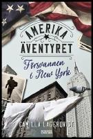 F&ouml;rsvunnen i New York