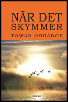 N&auml;r det skymmer