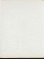 Muddus : Den gamla skogen