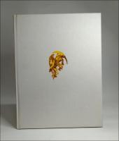 Kjell Anderson : F&ouml;retal av Kent Lindfors, efterskrift av Ulf Linde : utgiven i samband med utst&auml;llning p&aring; Konstakademien Stockholm 7 september - 13 oktober 2002