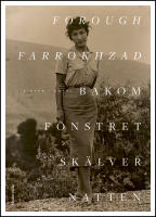 Bakom f&ouml;nstret sk&auml;lver natten