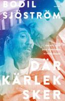 D&auml;r k&auml;rlek sker : Om hiv, aids och v&auml;nnerna vi f&ouml;rlorade