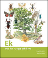 Ek : Tr&auml;d f&ouml;r kungar och kryp