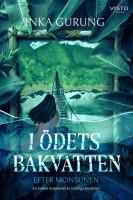 I &ouml;dets bakvatten : Efter monsunen