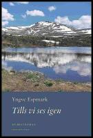 Tills vi ses igen