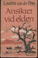 Ansiktet vid elden