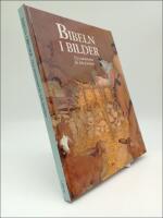 Bibeln i bilder : Nya testamentet f&ouml;r hela familjen