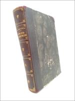 V&auml;rldsindustrien II : Teknikens segert&aring;g I ord och bild