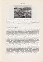 Saamelaisten sopeutumisongelmia