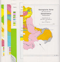 Stratigraphie, Tektonik, Petrochemie und montangeologische Zuege am Nordrand der zentralen 'Norrlandsgeosynklinale'